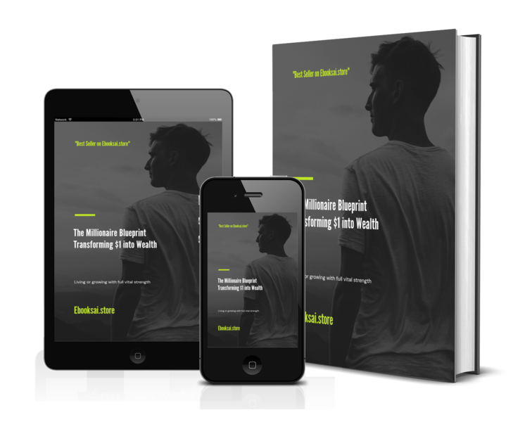 The Millionaire Blueprint: Transforming $1 into Wealth