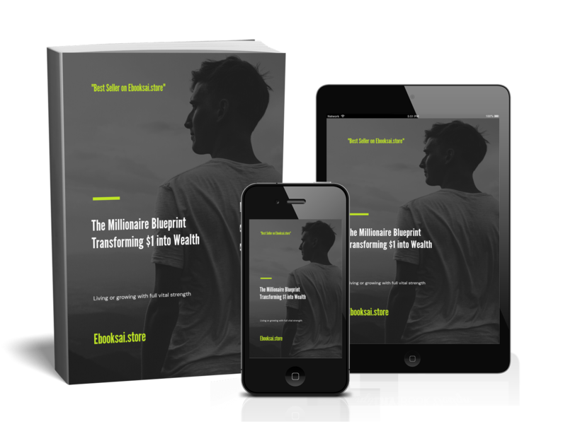 The Millionaire Blueprint: Transforming $1 into Wealth