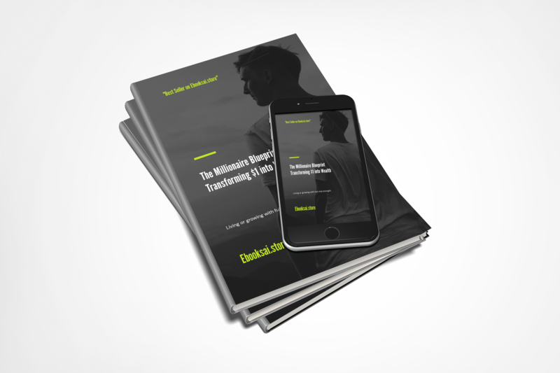 The Millionaire Blueprint: Transforming $1 into Wealth