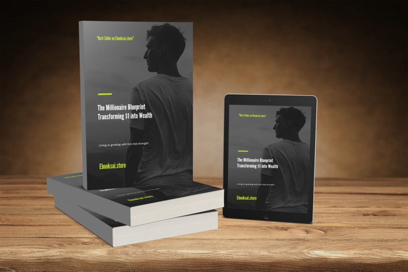 The Millionaire Blueprint: Transforming $1 into Wealth
