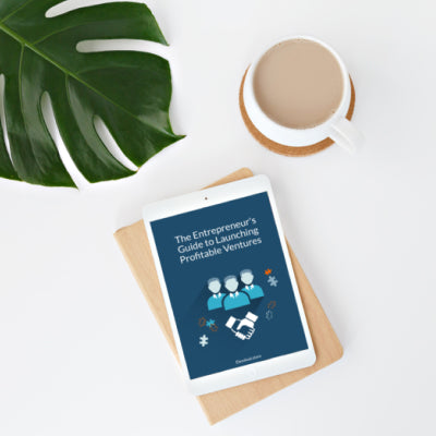 Entrepreneur's Guide to Launching Profitable Ventures